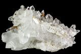 Brookite and Quartz Crystal Association- Pakistan #111344-1